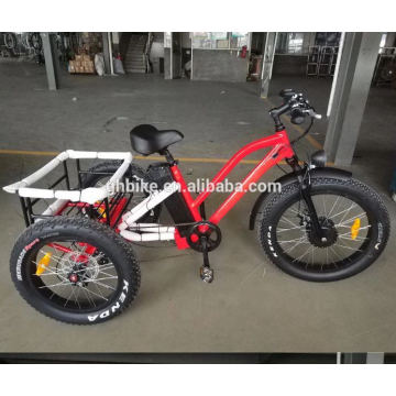 USA Popular Adult Elder Cargo Fat Tire 3 Three Wheels E Tricycle 750W 48V Electric Tricycles 555